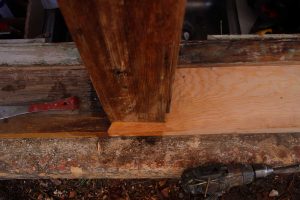 Commercial-Wood-Restoration2